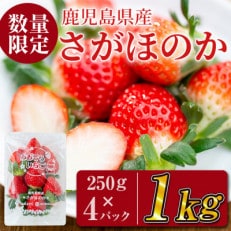 鹿児島県産いちご!愛情たっぷりさがほのか 計1kg(250g&times;4パック)