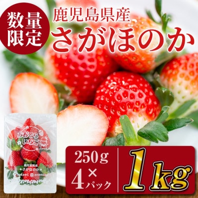 鹿児島県産いちご!愛情たっぷりさがほのか 計1kg(250g×4パック)