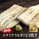 【さとふる限定】鹿児島県産!秘伝のスタミナうなぎ白焼き2尾(計約300g)