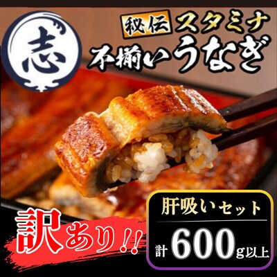 【訳あり】鹿児島県産秘伝のスタミナうなぎ蒲焼き肝吸いセット(4尾以上/計約600g)