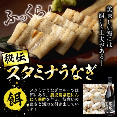 秘伝の特上スタミナうなぎ白焼き(2尾/約240g)と肝吸いセット