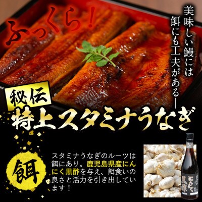 鹿児島県産!秘伝の特上スタミナうなぎ 食べ応え抜群の大きめ1尾約200gサイズ♪