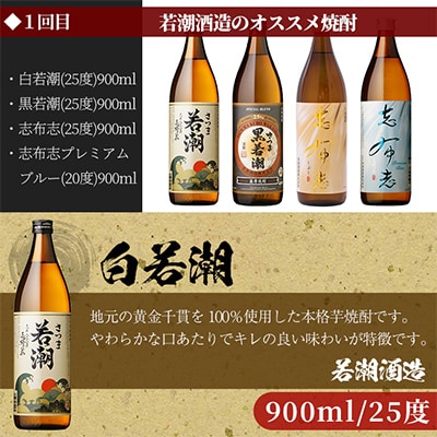 【毎月定期便】志布志蔵元自慢の焼酎 お手軽定期便全3回