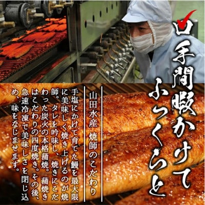 【数量限定】【お礼の品人気No1】霧島湧水鰻の蒲焼き 160g以上×5尾(計800g以上) 山田水産