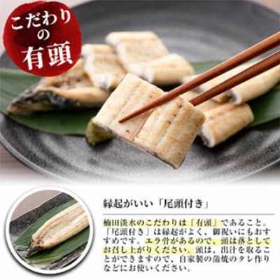 【毎月定期便】うなぎ本来の旨みが楽しめる白焼き定期便! t0066-002 全3回