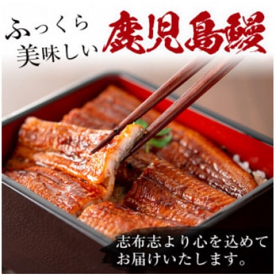 【さとふる限定】鹿児島県産 うなぎ蒲焼 名水慈鰻2尾(合計320g～370g)