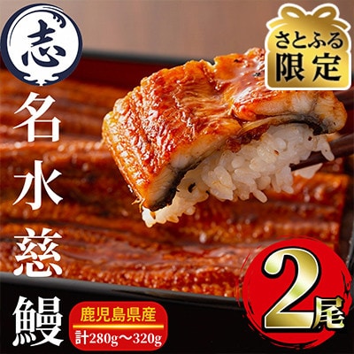 【さとふる限定】鹿児島県産うなぎ蒲焼　2尾(合計280g～320g)
