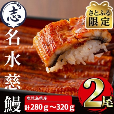 【さとふる限定】鹿児島県産うなぎ蒲焼　2尾(合計280g～320g)