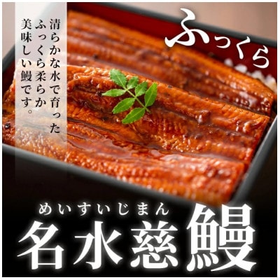 【さとふる限定】鹿児島県産うなぎ蒲焼　2尾(合計280g～320g)