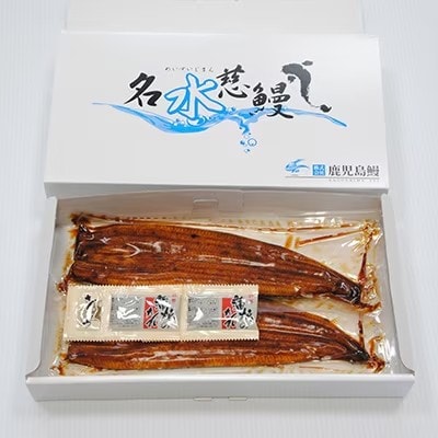 【さとふる限定】鹿児島県産うなぎ蒲焼　2尾(合計280g～320g)