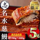 【さとふる限定】鹿児島県産うなぎ蒲焼名水慈鰻5尾(合計700g~800g)