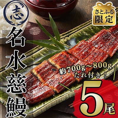 【さとふる限定】鹿児島県産うなぎ蒲焼名水慈鰻5尾(合計700g~800g)