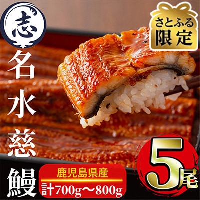 【さとふる限定】鹿児島県産うなぎ蒲焼名水慈鰻5尾(合計700g~800g)