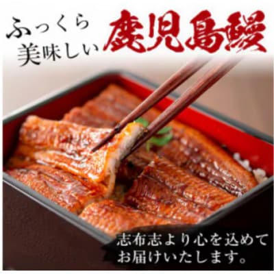 【さとふる限定】鹿児島県産うなぎ蒲焼名水慈鰻5尾(合計700g~800g)