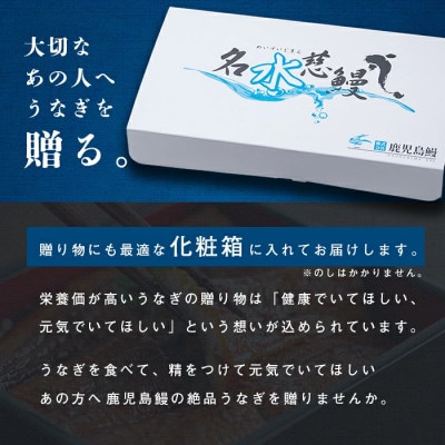 【さとふる限定】鹿児島県産うなぎ蒲焼名水慈鰻5尾(合計700g~800g)