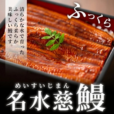【さとふる限定】鹿児島県産うなぎ蒲焼　2尾(合計200g～240g)