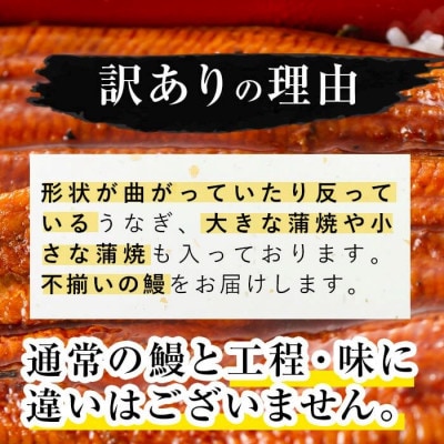 【訳あり】復活!不揃いのうなぎ達(鹿児島県産 鰻の蒲焼き)《計800～900g》b2-040