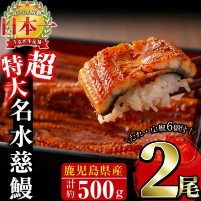 鹿児島県産うなぎ蒲焼 名水慈鰻 超特大2尾(1尾約236~270g)《計約500g》a6-059