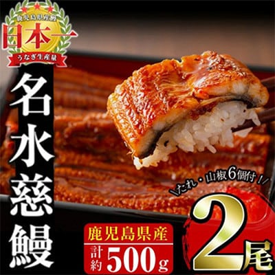 鹿児島県産うなぎ蒲焼 名水慈鰻 2尾(1尾約236~270g)《計約500g》