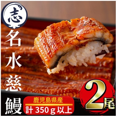 鹿児島県産 うなぎ 蒲焼 名水慈鰻 2尾(計約350g)