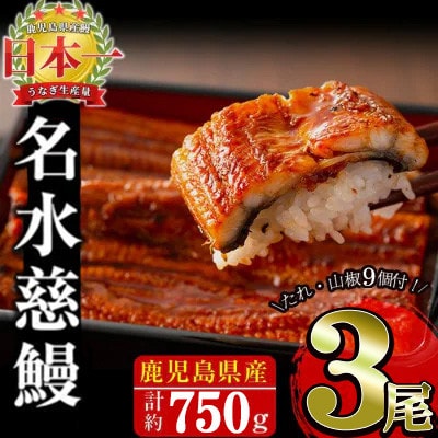 鹿児島県産うなぎ蒲焼 名水慈鰻 3尾(1尾約236～270g)《計約750g》