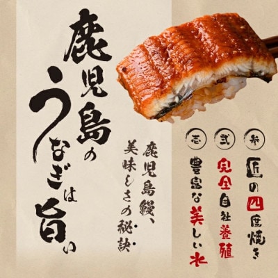 鹿児島県産うなぎ蒲焼 名水慈鰻 3尾(1尾約236～270g)《計約750g》