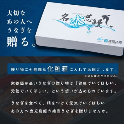 鹿児島県産うなぎ蒲焼 名水慈鰻 3尾(1尾約236～270g)《計約750g》