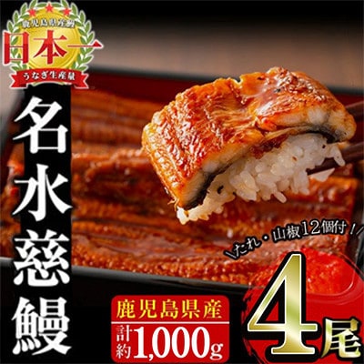 鹿児島県産うなぎ蒲焼 名水慈鰻 4尾(1尾約236～270g)《計約1000g》
