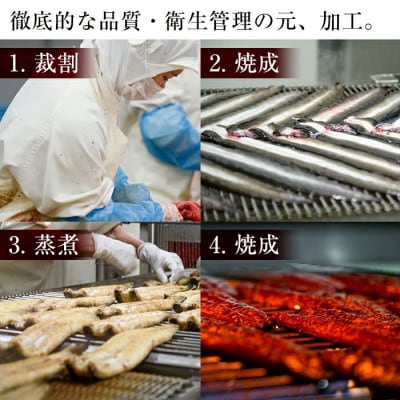 鹿児島県産うなぎ蒲焼 名水慈鰻 4尾(1尾約236～270g)《計約1000g》