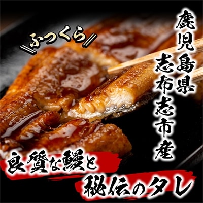 うなぎの柳澤　うなぎ蒲焼　2尾セット