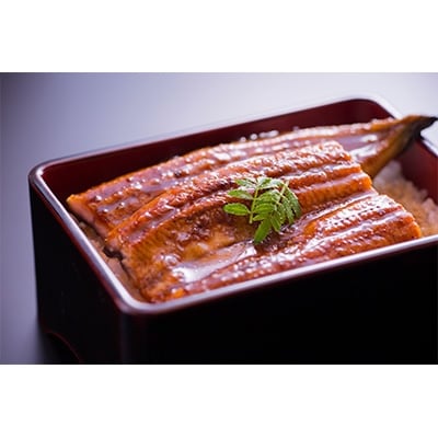 2020年12月発送開始『定期便』うなぎの柳澤 うなぎ蒲焼 2尾セット全3回