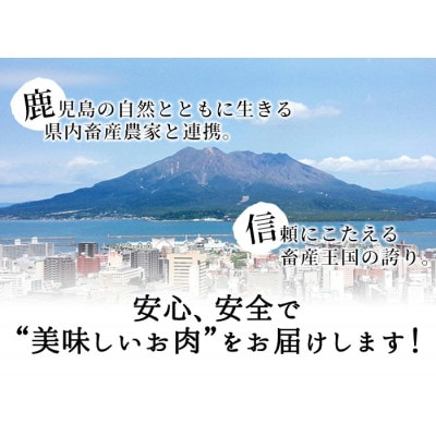 【数量限定】鹿児島茶美豚しゃぶしゃぶセット計1.8kg! 　b0-178