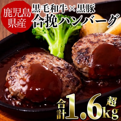 【鹿児島黒毛和牛&黒豚】精肉店の合挽き生ハンバーグ15個　a0-227 | ふるさと納税のお礼品