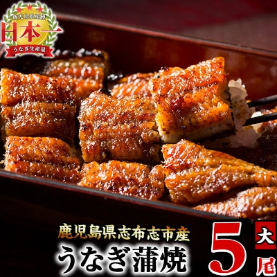 うなぎの大楠＜大＞5尾セット計750g(150g×5)