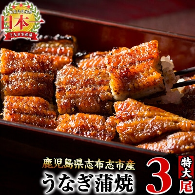 うなぎの大楠<特大>3尾セット計510g(170g×3)
