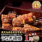 鹿児島県産 うなぎの大楠 〈超特大〉 1尾 約190g 【大楠鰻】 a2-075
