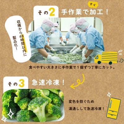 国産冷凍ブロッコリー200g×4袋(800g)