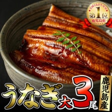鹿児島県大隅産くすだ屋の極上うなぎ(大)3尾<計450g以上>国産ウナギのかば焼き真空パック!