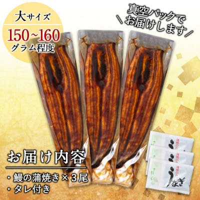 鹿児島県大隅産くすだ屋の極上うなぎ(大)3尾<計450g以上>国産ウナギのかば焼き真空パック!