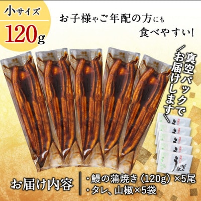 【数量限定】鹿児島県大隅産くすだ屋の極上うなぎ(小)5尾 計600g