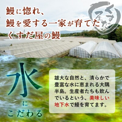 【数量限定】鹿児島県大隅産くすだ屋の極上うなぎ(小)5尾 計600g