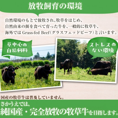 【さとふる限定】国産黒毛和牛 牧草育ちの里山牛 すき焼き用ロース計360g(180g×2パック)