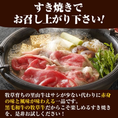 【さとふる限定】国産黒毛和牛 牧草育ちの里山牛 すき焼き用ロース計360g(180g×2パック)