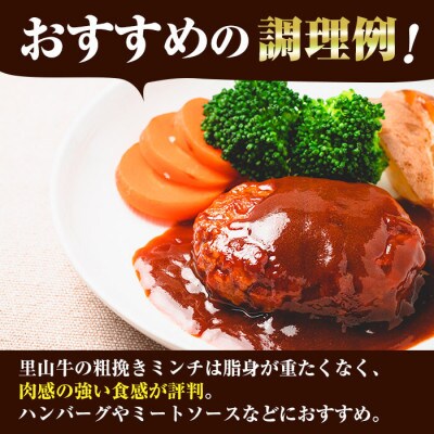 【さとふる限定】国産黒毛和牛 牧草育ちの里山牛100%使用!粗びきミンチ 計600g(200g×3)
