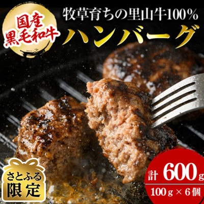 【さとふる限定】国産黒毛和牛 牧草育ちの里山牛100%使用!手作りハンバーグ600g(100g×6)