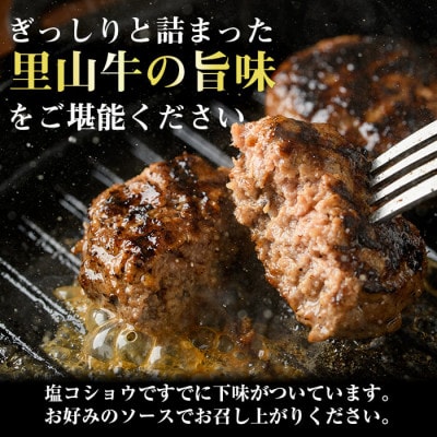 【さとふる限定】国産黒毛和牛 牧草育ちの里山牛100%使用!手作りハンバーグ600g(100g×6)