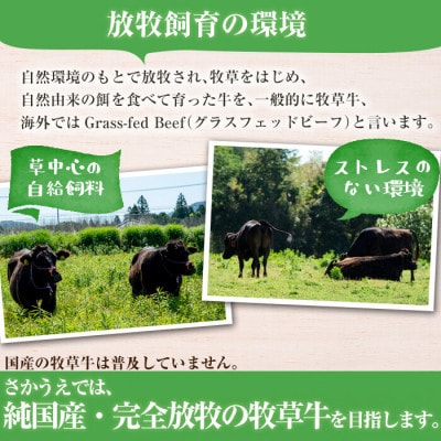 【さとふる限定】国産黒毛和牛 牧草育ちの里山牛 ローストビーフ用ブロック計800g(200g×4P)