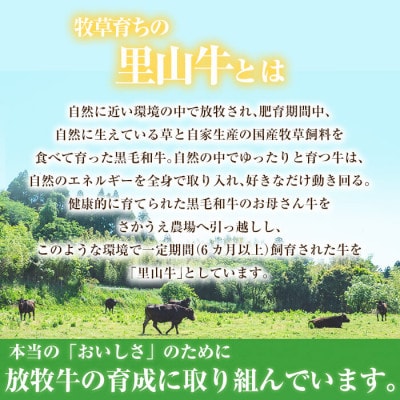 【さとふる限定】国産黒毛和牛 牧草育ちの里山牛 ローストビーフ用ブロック肉　計400g!