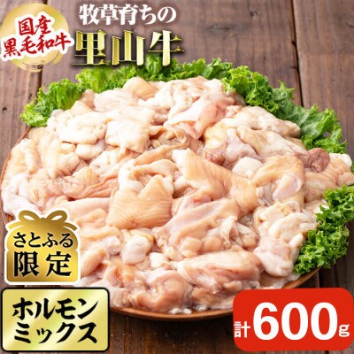【さとふる限定】国産黒毛和牛 牧草育ちの里山牛 ホルモンミックス　計600g(200g×3パック)