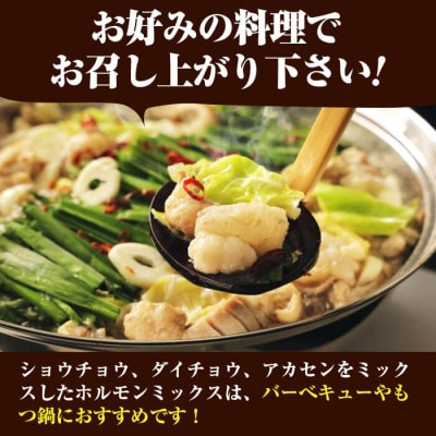 【さとふる限定】国産黒毛和牛 牧草育ちの里山牛 ホルモンミックス　計600g(200g×3パック)